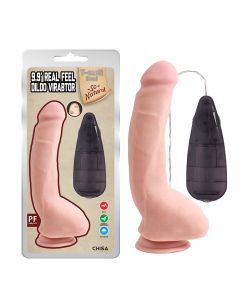 Vibrador - CN-101831167