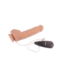 Vibrador - CN-101831167 - Alternate View