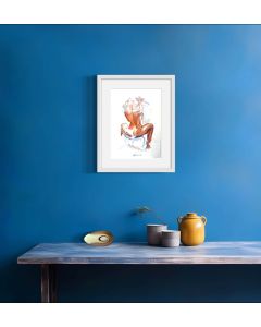 Hoy no… - Alternate View