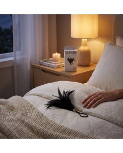 Plumas - PL31009 - Alternate View